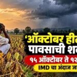 Maharashtra Weather Update Imd October November Rain Forecast