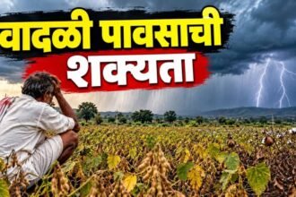 Maharashtra Weather Update Imd Rain Alert 15 October 2026