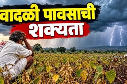 Maharashtra Weather Update Imd Rain Alert 15 October 2026