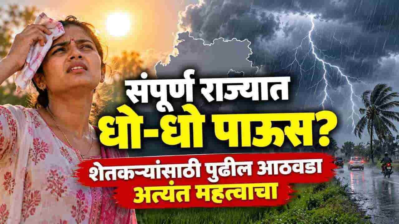 Maharashtra Weather Update October Heat Rain Alert Vidarbha Konkan Dates