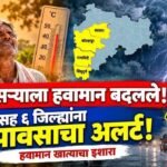 Maharashtra Weather Update Sangli Rain Yellow Alert Dussehra
