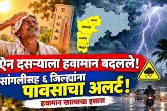 Maharashtra Weather Update Sangli Rain Yellow Alert Dussehra