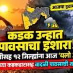 Maharashtra Weather Update Yellow Alert October Rain Forecast