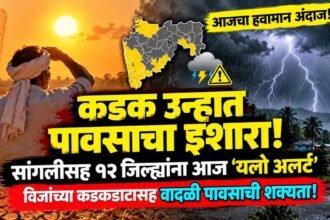 Maharashtra Weather Update Yellow Alert October Rain Forecast