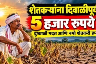 Namo Shetkari Yojana Installment Drought Relief 5000 Rupees Maharashtra Update