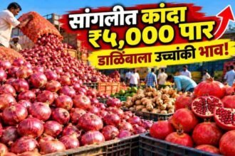 Sangli Vishnuanna Patil Market Bajar Bhav Today 22 October 2026
