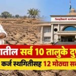 Sangli Drought Talukas Relief Measures