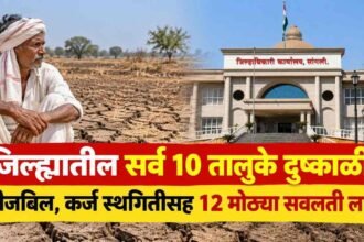 Sangli Drought Talukas Relief Measures
