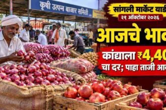 Sangli Market Yard Bajar Bhav 21 October 2026