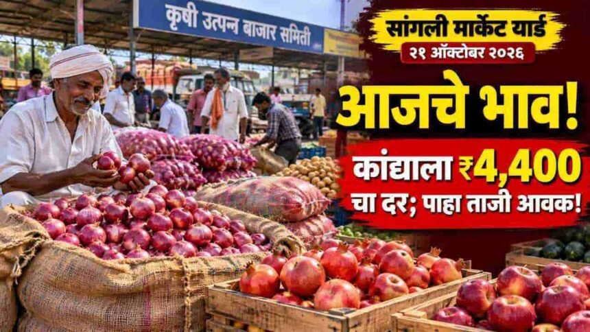 Sangli Market Yard Bajar Bhav 21 October 2026