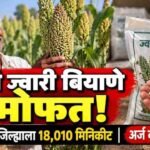 Sangli Rabbi Jowar Free Seed Minikit Mahadbt Apply November 10