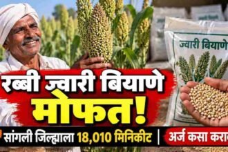 Sangli Rabbi Jowar Free Seed Minikit Mahadbt Apply November 10