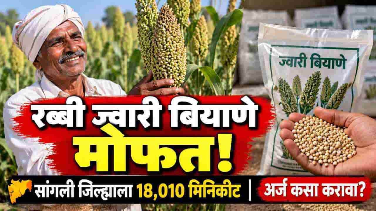 Sangli Rabbi Jowar Free Seed Minikit Mahadbt Apply November 10